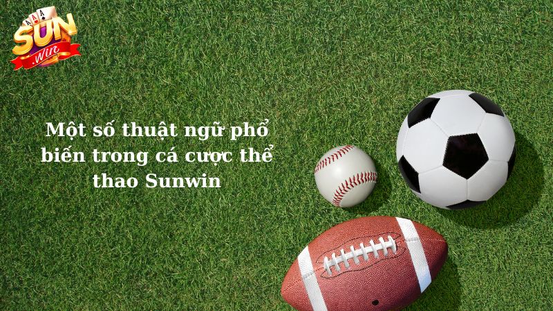 Một số thuật ngữ phổ biến trong cá cược thể thao Sunwin